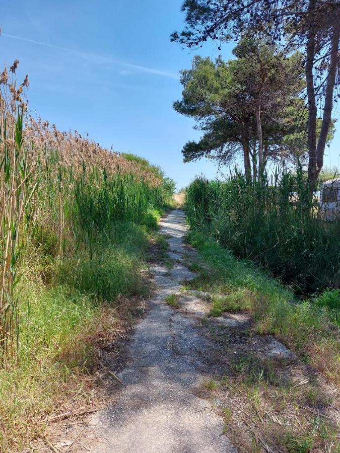 فندق La Dimora In Riva Al Mare فيستَ المظهر الخارجي الصورة